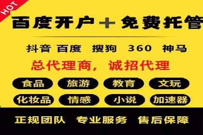某某SEM团队成功案例：广告投放策略揭秘